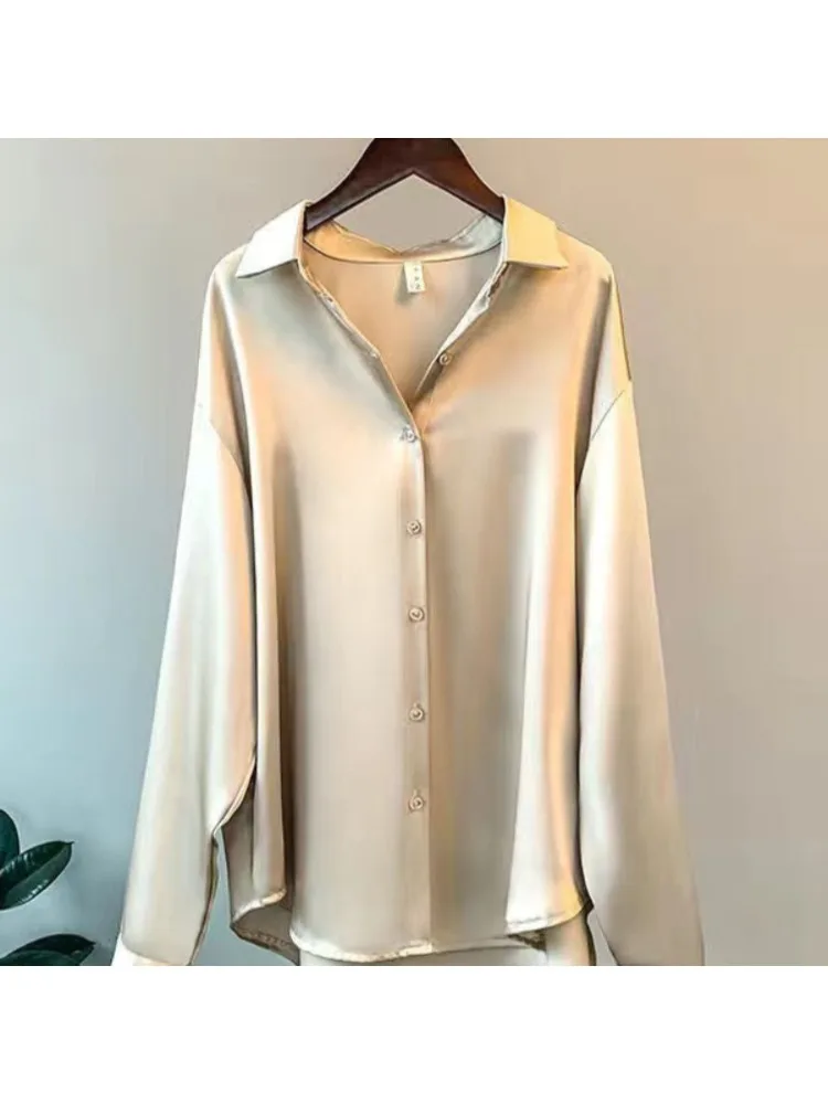 Camicia Casual da Donna Taglie - Silk Blouse Button recensione e prezzo